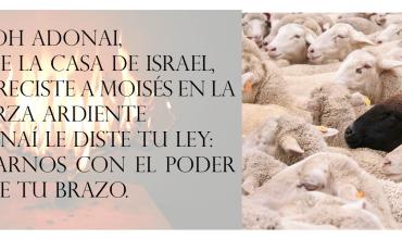 Adonai