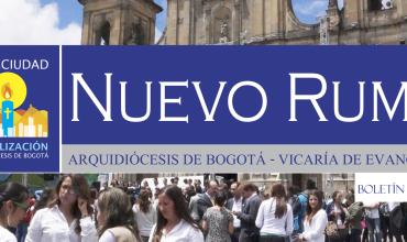 Boletín No 3 - Nuevo Rumbo