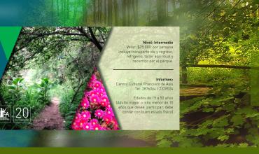 Reconociéndonos parte de la creación