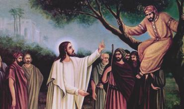 LITURGIA Noviembre 3 Una mirada que supera los anhelos humanos