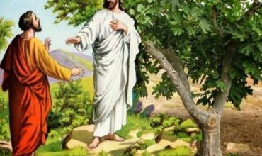 LITURGIA Marzo 24 Nuestra vida no depende del pecado sino de la misericordia de Dios