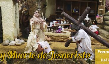 Acompañemos a Jesús en el camino de la cruz