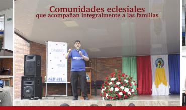 Evangelización de la familia: Alegría del amor