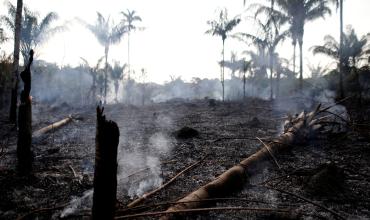 Los religiosos de la CLAR también claman: “¡No a la destrucción de la Amazonía!”