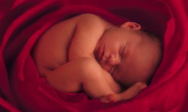 Estar contra el aborto no es cosa de cristianos solamente, es de seres humanos