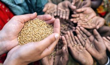 Iglesia: COVID-19, crisis alimentaria y ecología integral