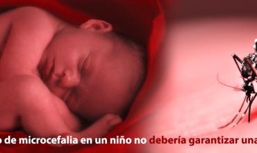 No a la presión abortista por virus Zika