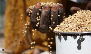 Francisco a los representantes de la FAO: el acceso a la comida es un derecho