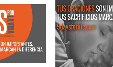 Los Obispos de EEUU preparan la celebración de nueve días de oración y acción por la vida