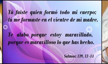 Su corta vida de sólo unos minutos ha tocado más vidas de lo que jamás podría haber imaginado