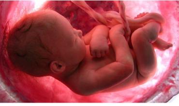 La Casa de Amparo Provida