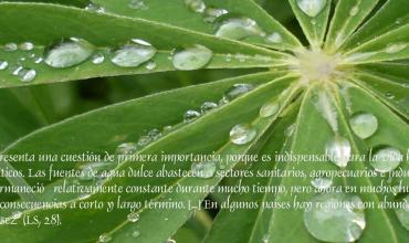 El agua es bendita y debemos cuidarla