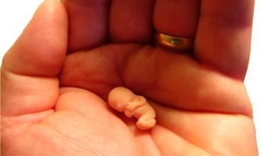 Video de niños que piden no matar a los bebés por medio del aborto