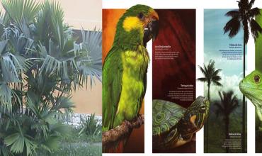 Cuidar la naturaleza no significa dejar las tradiciones