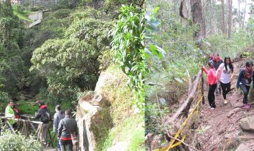 Caminata: Orar con la naturaleza