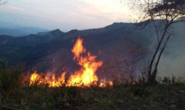 “Tenemos en altísimo riesgo comunidades y ecosistemas”.