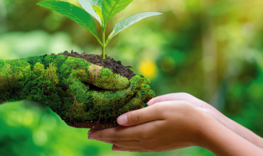 Con la intención de contribuir a la Conferencia de la ONU sobre el Clima, la REPAM (Red Eclesial Panamazónica) ha publicado el ABC de la COP.