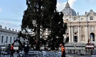 Arbol Vaticano