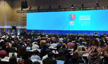 Arzobispo de Cali pide que la COP 16 no sea un evento aislado en el cuidado de la creación