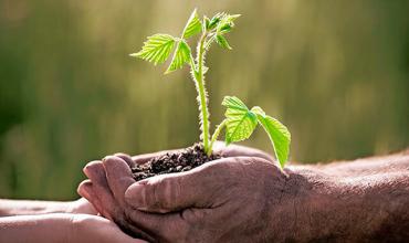 Iglesias del Sur global presentarán a León XIV documento sobre justicia climática