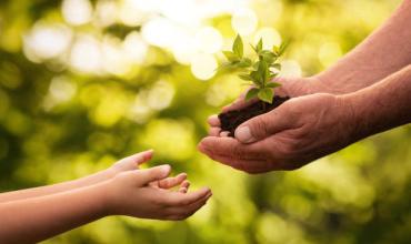 “Semillas de paz y esperanza”: Tema de la Jornada Mundial de Oración por el Cuidado de la Creación